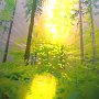 Bild: Alfred Schiener